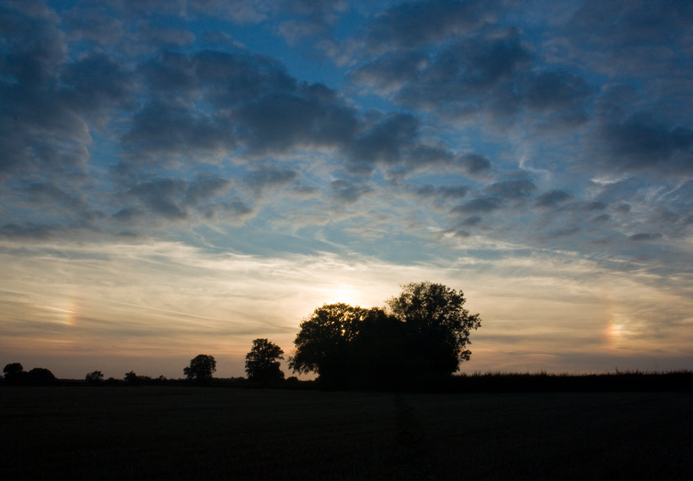 New Blog Post - Different Ways of Seeing